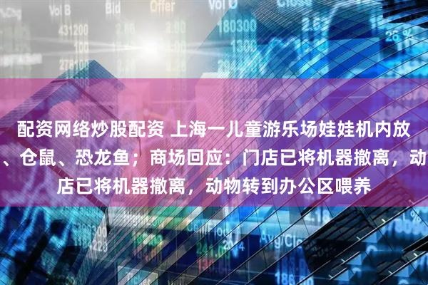 配资网络炒股配资 上海一儿童游乐场娃娃机内放活体动物，有兔子、仓鼠、恐龙鱼；商场回应：门店已将机器撤离，动物转到办公区喂养