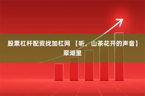 股票杠杆配资找加杠网 【听，山茶花开的声音】翠湖里