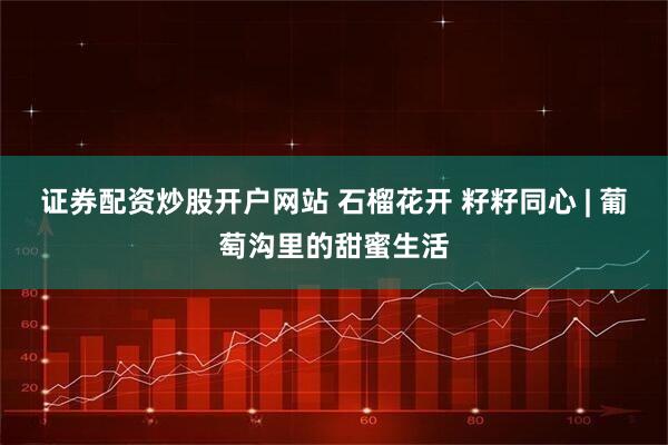 证券配资炒股开户网站 石榴花开 籽籽同心 | 葡萄沟里的甜蜜生活